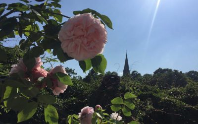 Extra-Ordinary Meeting