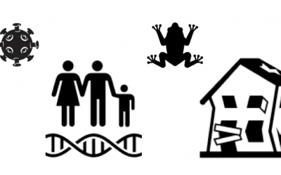 Online Survey: St. John’s and Conservation