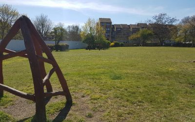 Friendly Gardens Park – Community Update