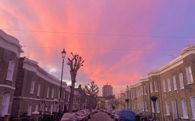 St John’s Society Annual Report 2021 -2022