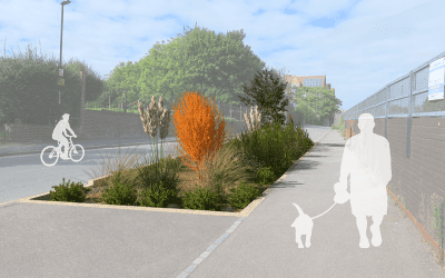 Thornville Street Rain Garden