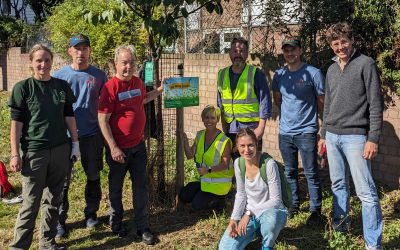 Roots in Action – a film about the St John’s Society by Iris Hu