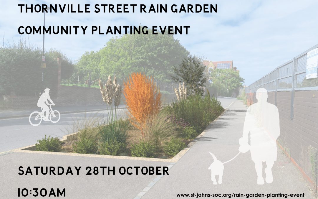 Rain Garden Community Planting – Saturday 28th October