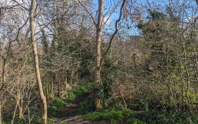 Brookmill Nature Reserve Open Day – 20/04/24