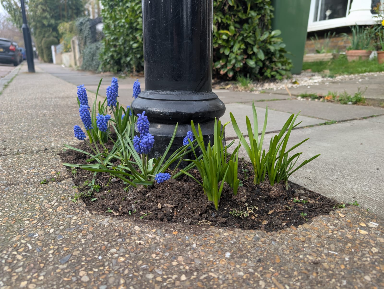 Spring is Sprung - The St Johns Society