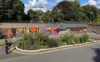 From Concrete to Colour – the Thornville Street Rain Garden Mural