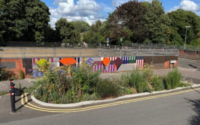 Two years of the Thornville Street Rain Garden