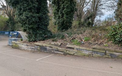 St Johns Station Woodland Survey